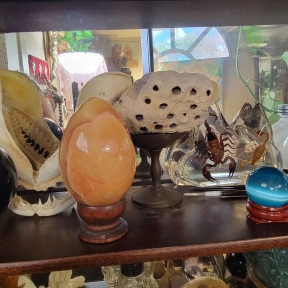 Polished Orange Calcite Stone Egg with Carved Wood Stand